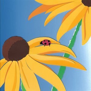 black-eyed susans